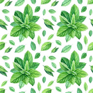 İzole edilmiş beyaz arka planda nane yaprakları. Suluboya kusursuz desenler. 