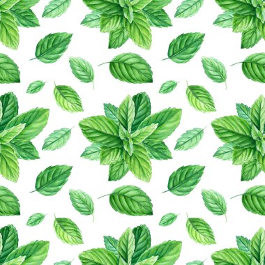 Kusursuz desenler, nane yaprakları ve dallar, izole arkaplanda suluboya resimler.