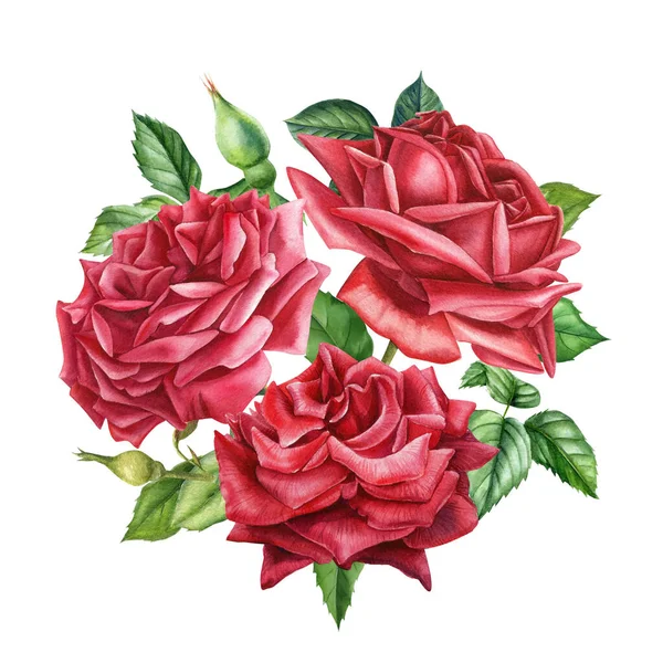 Όμορφο μπουκέτο λουλούδια κόκκινο τριαντάφυλλο σε απομονωμένο, λευκό φόντο ακουαρέλα χέρι σχέδιο, κάρτα — Φωτογραφία Αρχείου