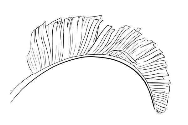 하얀 배경에 있는 바나나 야자나무 잎. — 스톡 사진