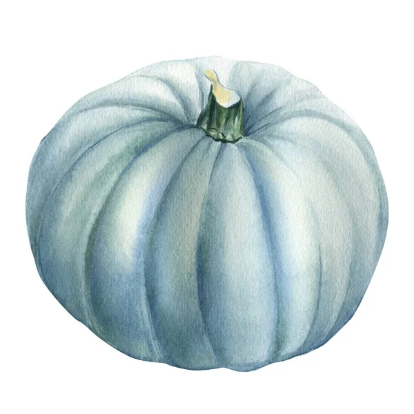 Halloween white pumpkin isolated white background, watercolor illustration, hand drawing — Stock Photo, Image