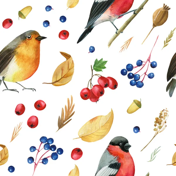 Płynny wzorzec z bulwami ptaków, Robin. Jesienne liście akwarela, odizolowane tło, rysunek dłoni — Zdjęcie stockowe