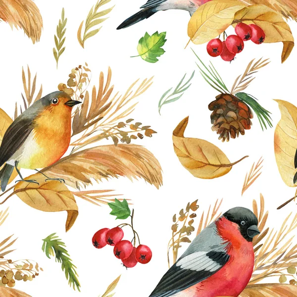 小鳥のフンだロビン。秋は水彩、孤立した背景、手描きを残します。シームレスなパターン. — ストック写真