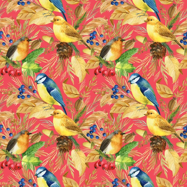 Schema senza soluzione di continuità. Bullfinches, tittopi, canarini, uccelli pettirosso. Foglie ed erbe acquerello, isolato sfondo rosso — Foto Stock