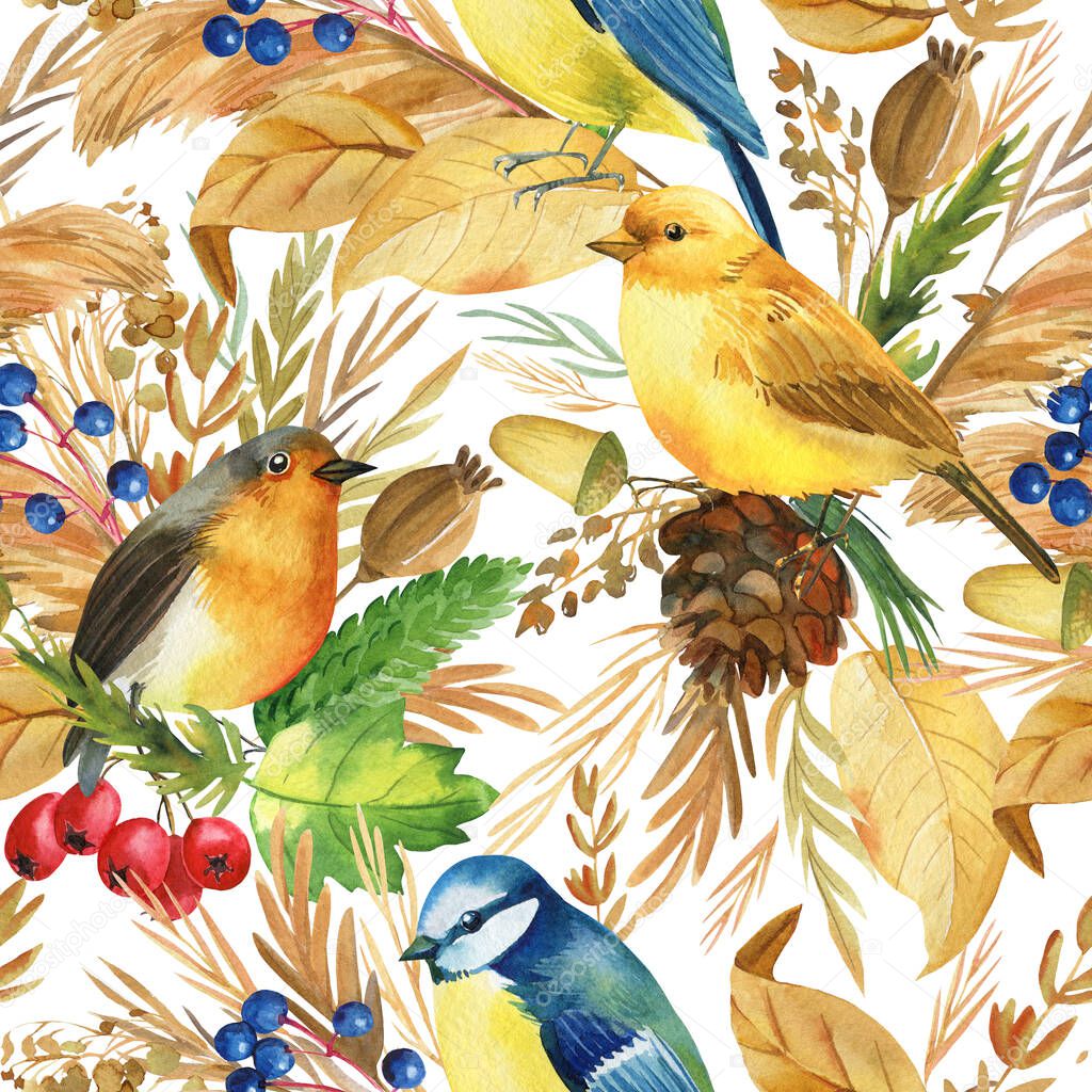 Seamless pattern. Titmice, canaries, robin birds. Autumn leaves and herbs watercolor, isolated background