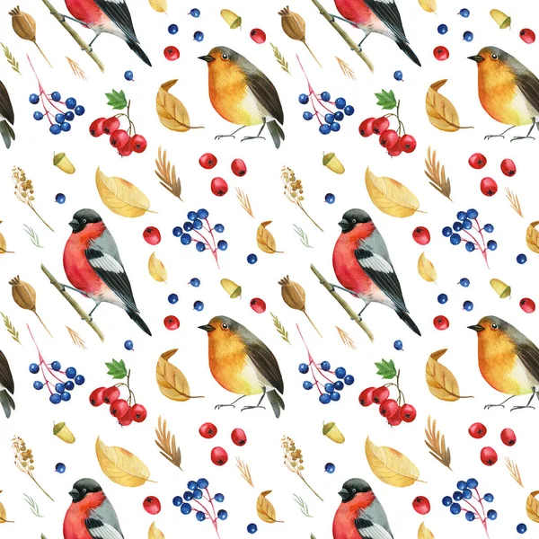 Naadloos patroon met vogelvinken, Robin. Herfst bladeren aquarel, geïsoleerde achtergrond, handtekening — Stockfoto