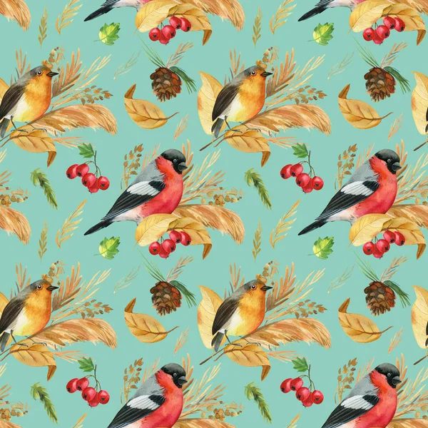 Nahtloses Muster mit Vögeln Gimpel, Rotkehlchen. Herbst Blätter Aquarell, isolierter Hintergrund, Handzeichnung — Stockfoto