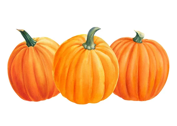 Composición de calabazas anaranjadas sobre fondo blanco aislado, ilustración de acuarela, clipart, halloween festivo — Foto de Stock