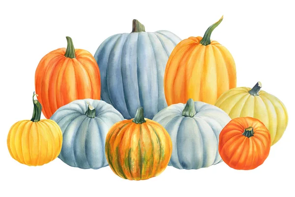 Composition of pumpkins on isolated white background, watercolor illustration, clipart, hand drawing — Stock Photo, Image