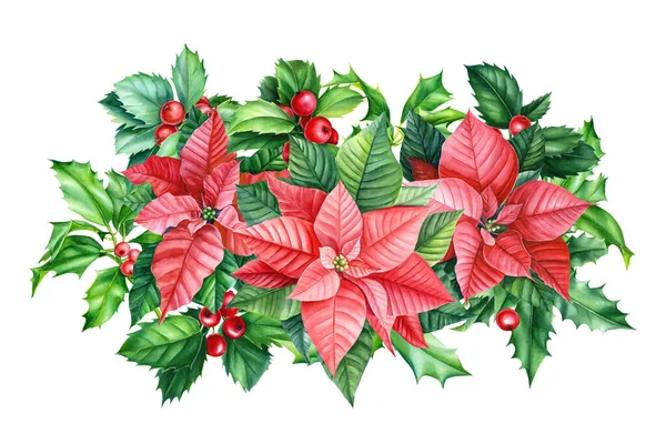 Jul- och nyårskomposition. Akvarell julstjärna blommor, järnek. Semester Vykort — Stockfoto