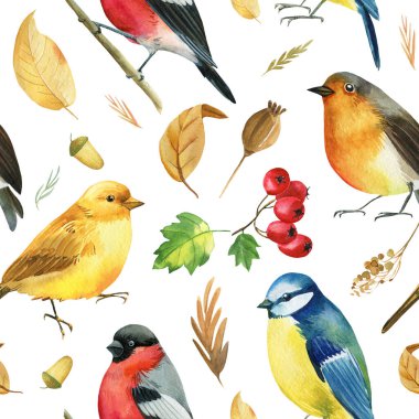 Kusursuz desen. Saka kuşu, meme faresi, kanarya, bülbül kuşu. Sonbahar yaprakları ve bitkiler suluboya, izole arkaplan