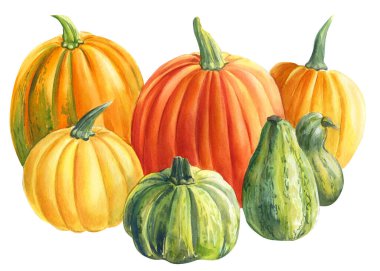 İzole edilmiş beyaz arka planda balkabağı hasadı, suluboya bileşimi