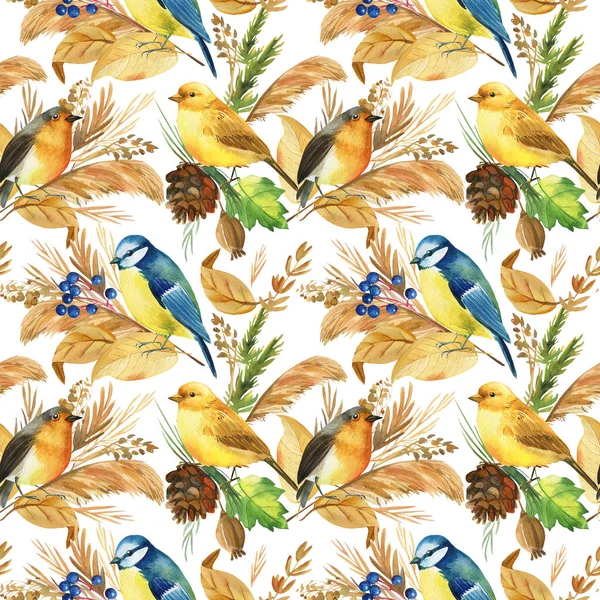 Płynny wzór z ptasimi cyckami, Robin. Jesienne liście akwarela, odizolowane tło, rysunek dłoni — Zdjęcie stockowe