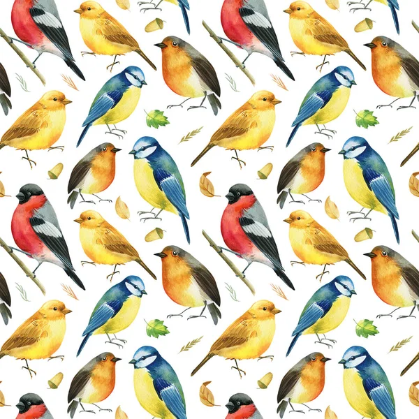 Bullfinches, tietjes, kanaries, roodborstjes. Aquarel, digitaal papier. Naadloos patroon. — Stockfoto