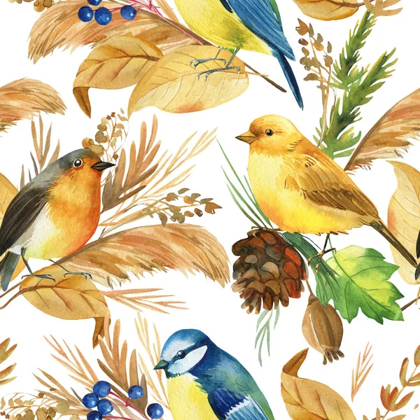 Бесшовный рисунок с птичьими сиськами, канарейками малиновки. Осенние листья акварели, изолированный фон, цифровая бумага — стоковое фото