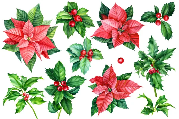 Boże Narodzenie clipart akwarela, poinsettia kwiaty, gałązki ostrokrzewu, elementy dekoracyjne. — Zdjęcie stockowe