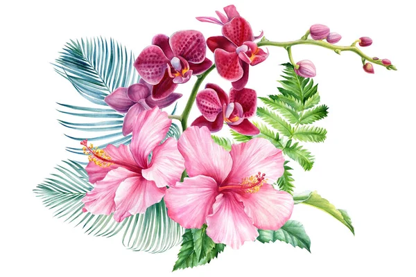 Fleurs et feuilles de palmier, Bouquet d'orchidée, hibiscus, sur fond blanc isolé, aquarelle illustration — Photo