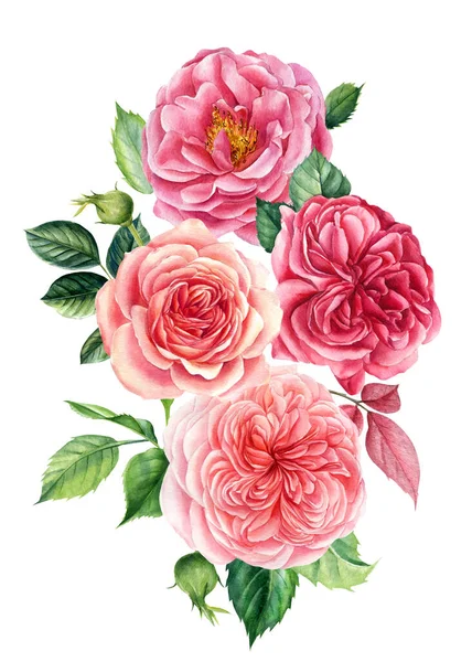 Fiori rossi, rose su sfondo bianco isolato, illustrazione ad acquerello, biglietti di auguri — Foto Stock