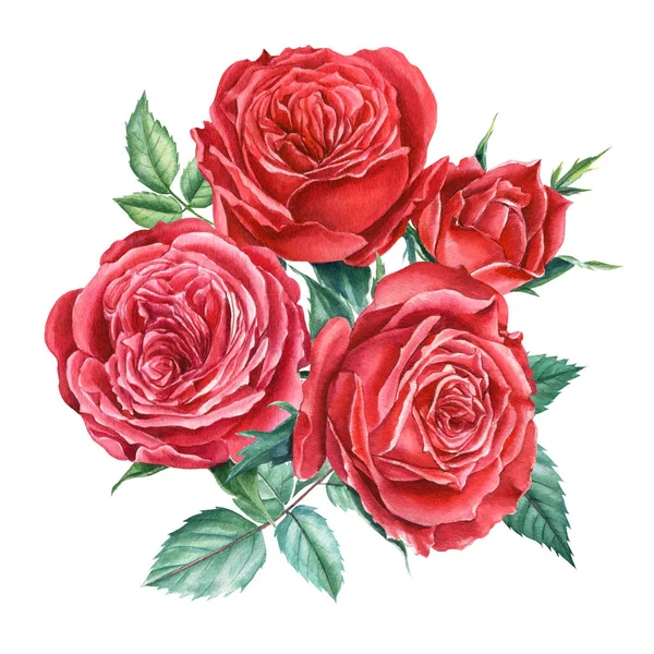 Buquê rosas vermelhas no fundo branco isolado, clipart aquarela, desenho à mão, ilustração botânica — Fotografia de Stock