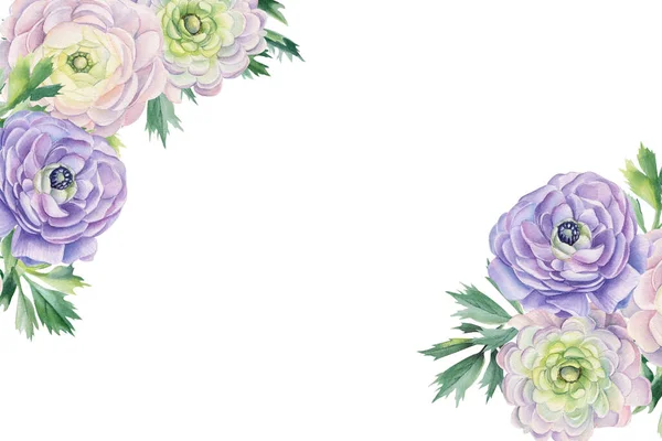 Wenskaart, uitnodiging. Aquarel Bloemen ranunculus, geïsoleerde witte achtergrond, illustratie — Stockfoto