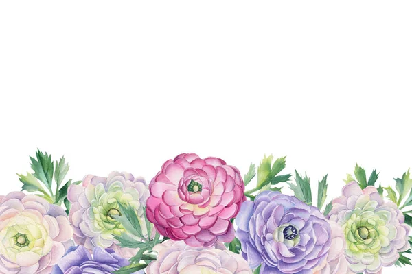 Greeting card, invitation. Flowers ranunculus, isolated white background, watercolor illustration — Stock Photo, Image