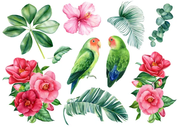 Ensemble de fleurs, feuilles tropicales palmiers et perroquets tourtereaux sur fond blanc isolé, illustration aquarelle — Photo