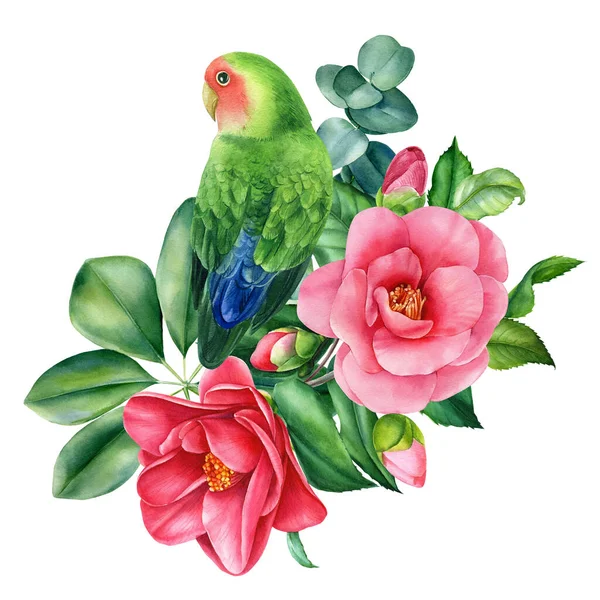 Buquê de composição tropical de flores e papagaios pombinhos em fundo branco isolado, ilustração aquarela — Fotografia de Stock