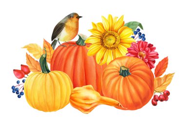 Sonbahar kompozisyonu, balkabakları, çiçekler, ayçiçekleri, yıldız çiçeği, sarı yapraklar, böğürtlen, kuşlar, beyaz arka plan, suluboya