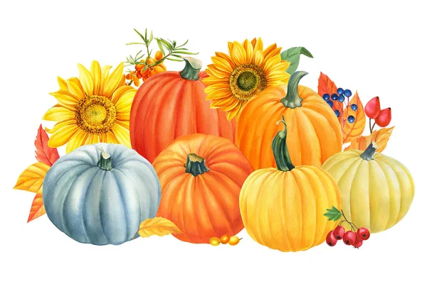 カボチャと花の秋の組成ひまわり,感謝祭の日,コーヌコピア白背景,水彩画 — ストック写真
