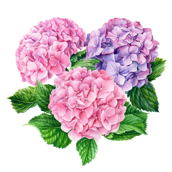 Букет з квітів гортензії, ізольований білий фон. Акварель ботанічна ілюстрація. Вітальна листівка — стокове фото