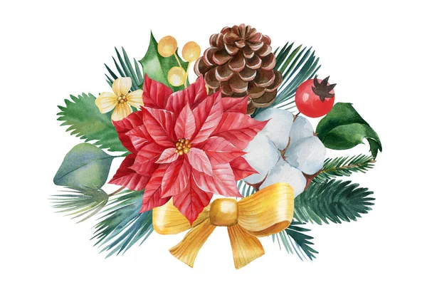 Fiore di Natale, bouquet con poinsettia, cotone e cono su sfondo bianco isolato, disegni ad acquerello — Foto Stock