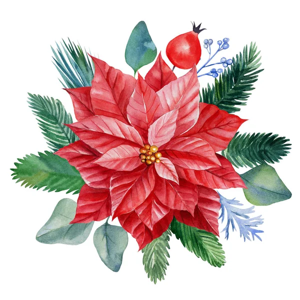 Χριστουγεννιάτικο λουλούδι, καρτ ποστάλ, μπουκέτο με πουανσέτια σε απομονωμένο λευκό φόντο, σχέδια ακουαρέλας, εορταστικό σχέδιο — Φωτογραφία Αρχείου