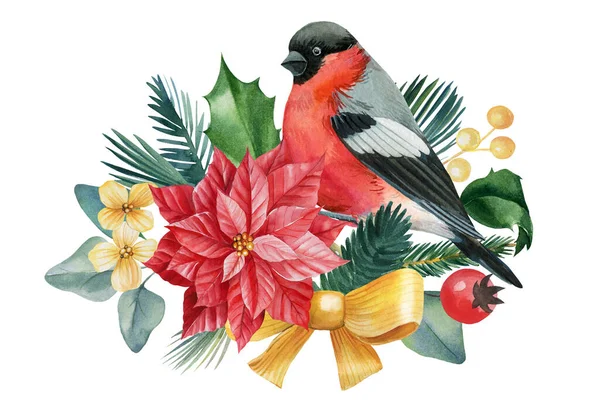 Pinzón pájaro sobre fondo blanco aislado, dibujos en acuarela. Decoraciones de Navidad — Foto de Stock