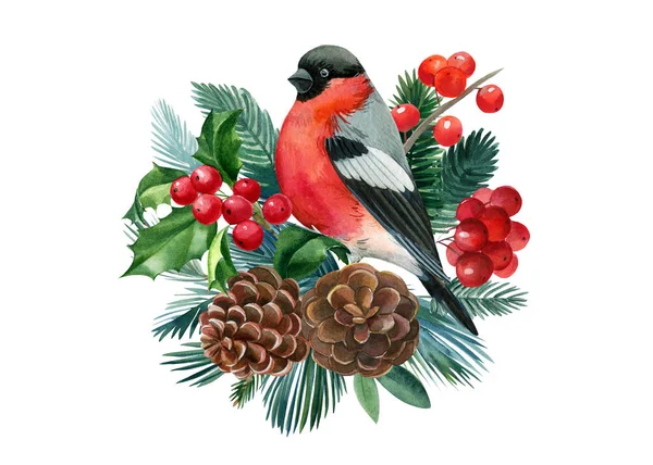 Composição de Natal aquarela. Pássaro bullfinch no fundo branco isolado, design festivo — Fotografia de Stock