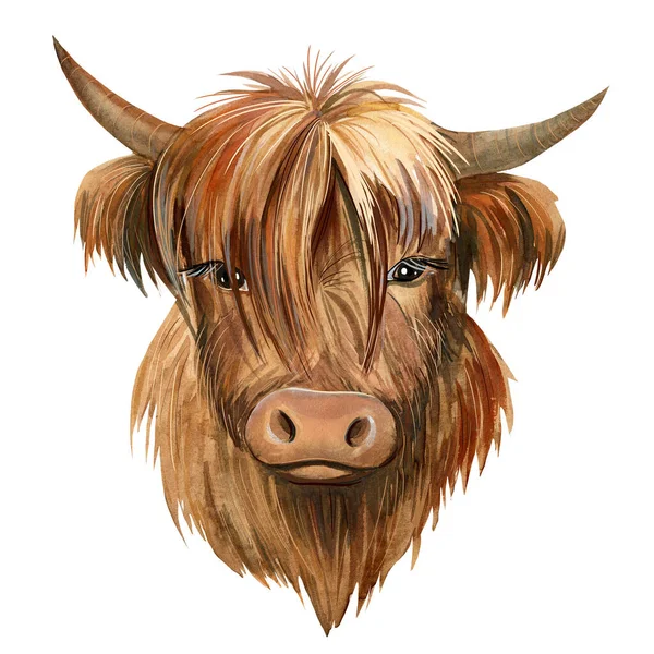 Bull on isolated white background, watercolor drawing, symbol of new year — Stock Photo, Image