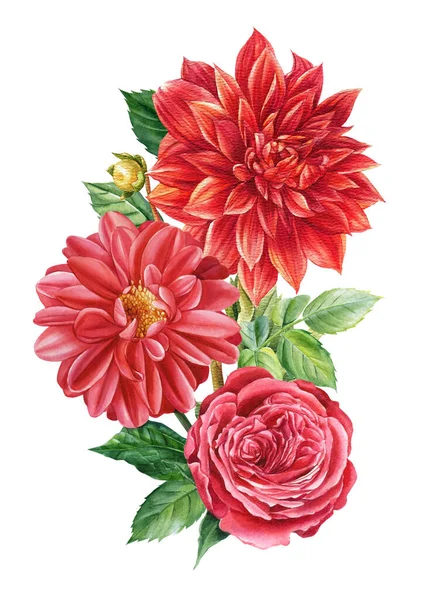 Csokor vörös virágok, rózsa, dália egy elszigetelt fehér háttér, akvarell botanikus festmény, flóra design — Stock Fotó