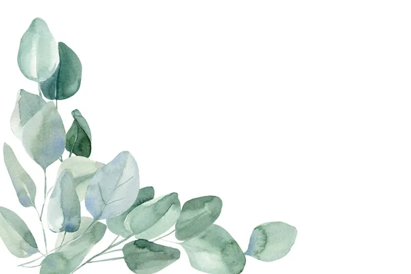 Pozdrav, pozvánka, pohlednice s eukalyptem na izolovaném bílém pozadí, akvarel ilustrace — Stock fotografie