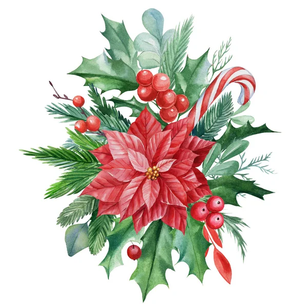 Composición navideña de flor de poinsettia, hojas, bayas rojas, acebo sobre un fondo aislado, dibujo de acuarela —  Fotos de Stock