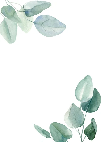 Tarjeta de felicitación, invitación, postal con eucalipto sobre fondo blanco aislado, ilustración acuarela — Foto de Stock