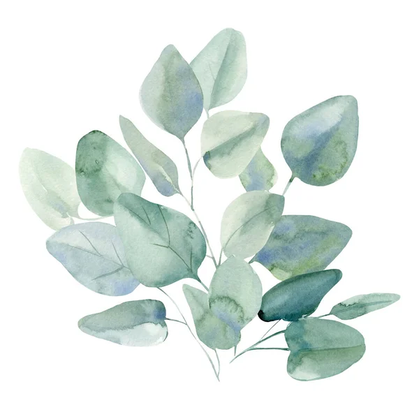 Ramo de hojas de eucalipto sobre fondo blanco aislado, acuarela ilustración — Foto de Stock