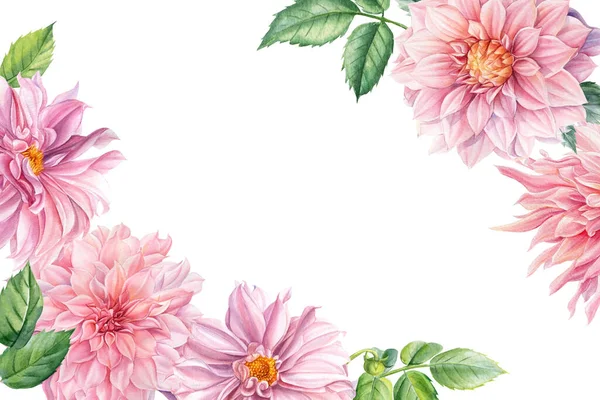 İzole edilmiş beyaz arka planda yıldız çiçekleri olan bir kartpostal, suluboya botanik. Tebrik kartı, davet