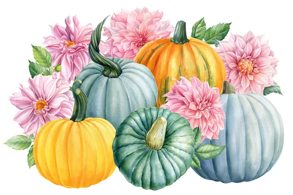Összetétel sütőtök és dália virágok fehér elszigetelt háttér, őszi betakarítás, akvarell rajzok. — Stock Fotó