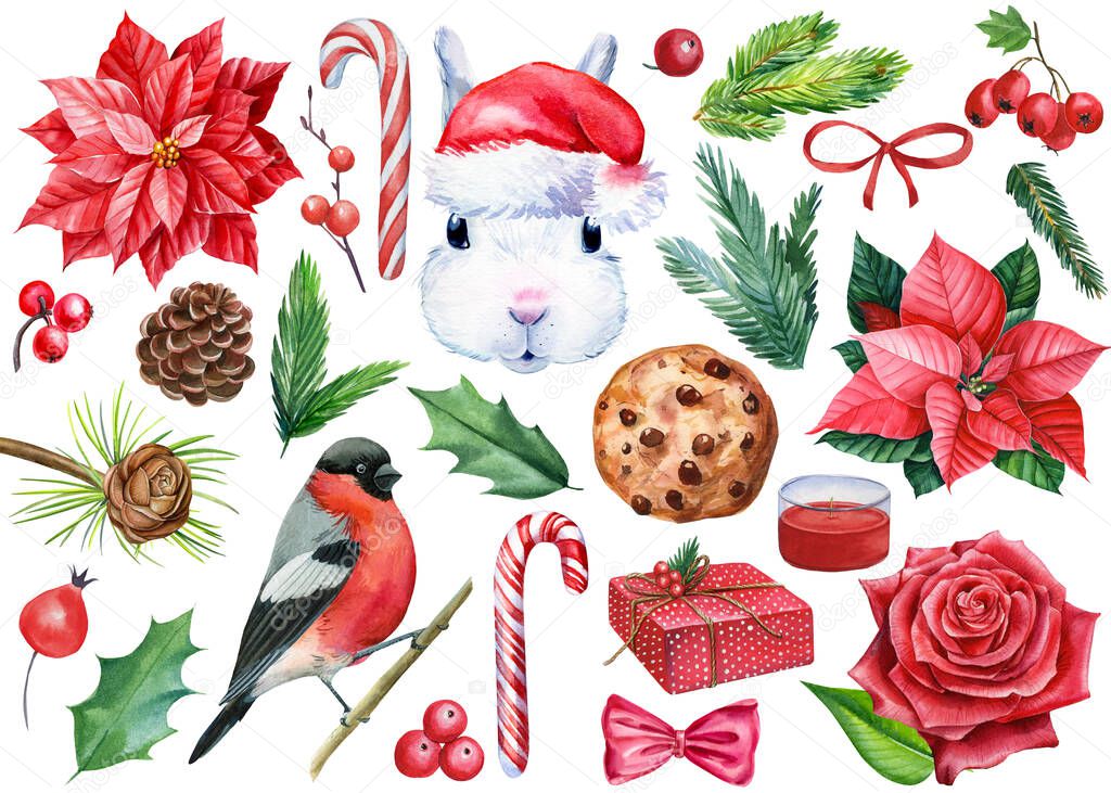 Watercolor Christmas elements on a white background. Bunny, bullfinch, flowers, spruce branches, holly, candy