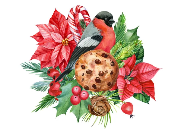 Bullfinch. Christmas composition on isolated background, watercolor drawings. — Stock Photo, Image