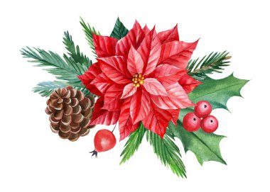 Noel kompozisyonu, çiçekler, ladin dalları, kutsal, beyaz yalıtılmış arka plan konisi, suluboya çizimler. 