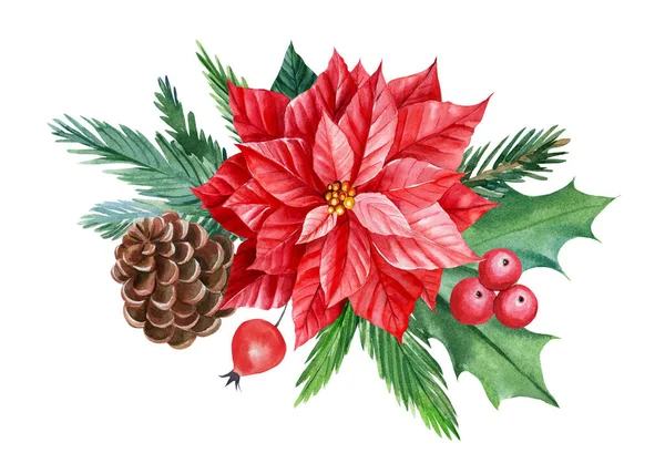 Karácsonyi kompozíció, virágok, lucfenyő ágak, magyal, kúp fehér elszigetelt háttér, akvarell rajzok. — Stock Fotó