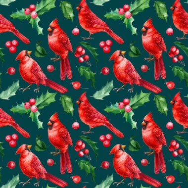 Kırmızı kuşlar, Noel kutsal yaprakları, böğürtlenler, kırmızı kardinal, suluboya el çizimi. Yeni yıl geçmişi. Kusursuz desen