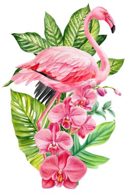 Pembe orkide çiçekleri ve tropik yeşil canavar palmiyeli flamingo suluboya egzotik kuş çiçekleri çizer. Yüksek kaliteli illüstrasyon