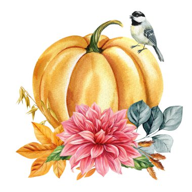 Şiş kuşlu balkabağı, sonbahar yıldız çiçeği altın yaprakları ve suluboya dalları mevsimlik illüstrasyonlar. Yüksek kaliteli illüstrasyon