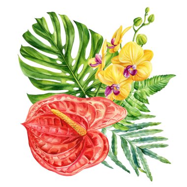 Sarı orkideli kırmızı anthurium ve tropikal yeşil yapraklı egzotik suluboya botanik resimli. Yüksek kaliteli illüstrasyon